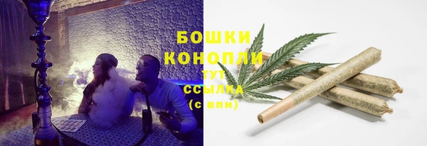шишки Аркадак