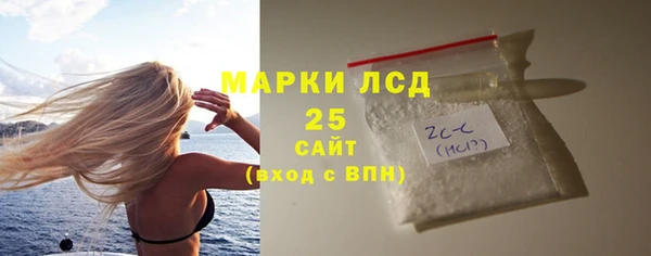 прущие грибы Балахна