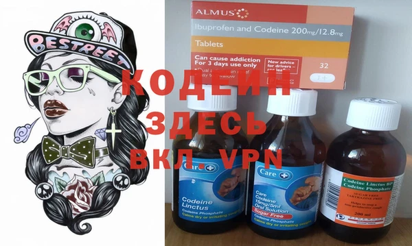 шишки Аркадак