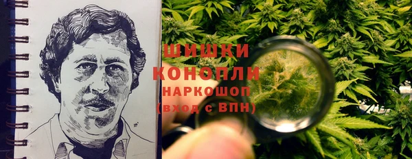 прущие грибы Балахна