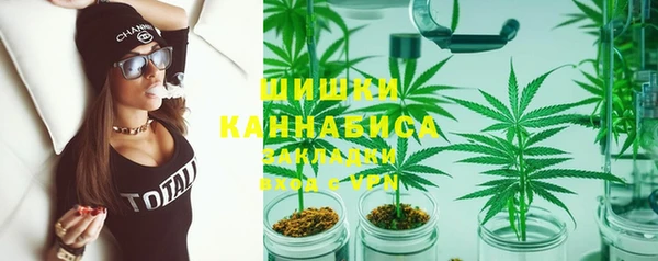 прущие грибы Балахна